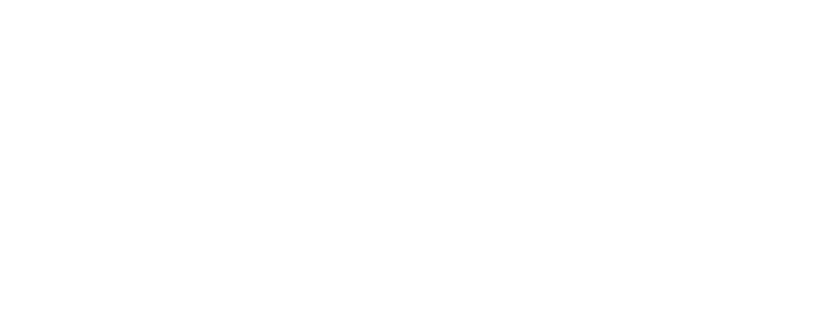 IEEE IES logo